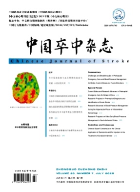 中国卒中杂志杂志